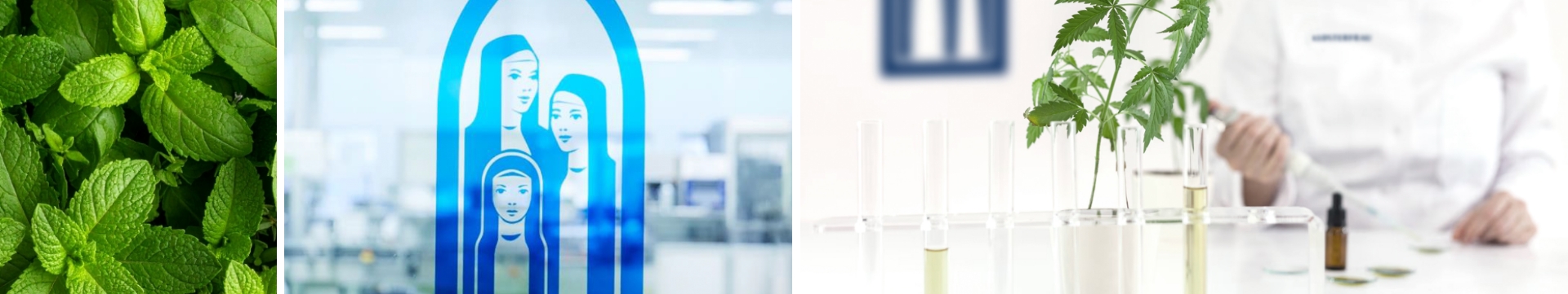 Klosterfrau Logo auf Fensterscheibe, Pflanzen und Reagenzglas